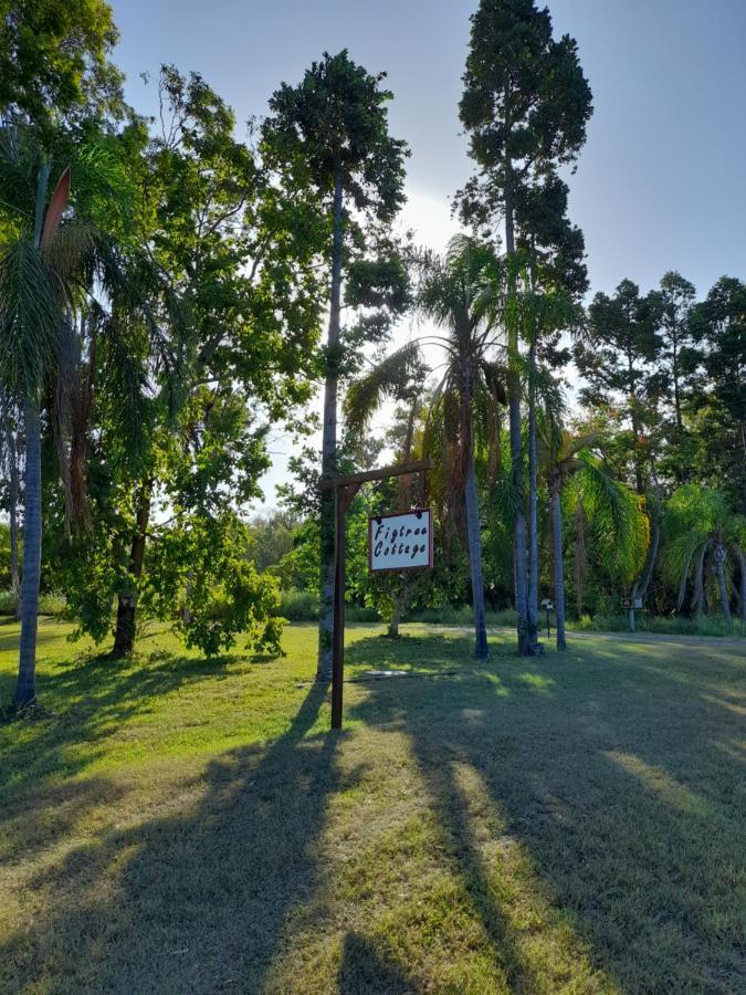 Figtree Cottage - Homestay - Yeppoon Exterior foto